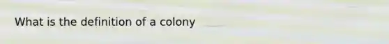 What is the definition of a colony