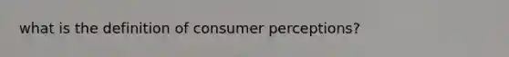 what is the definition of consumer perceptions?