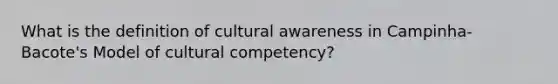 What is the definition of cultural awareness in Campinha-Bacote's Model of cultural competency?