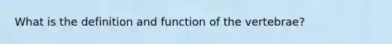 What is the definition and function of the vertebrae?