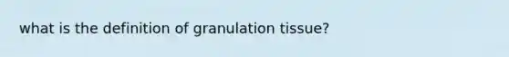 what is the definition of granulation tissue?