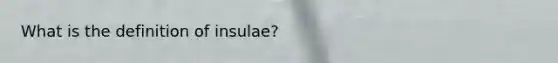 What is the definition of insulae?