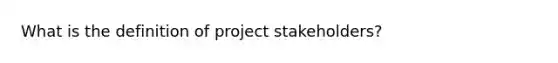 What is the definition of project stakeholders?