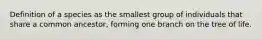 Definition of a species as the smallest group of individuals that share a common ancestor, forming one branch on the tree of life.