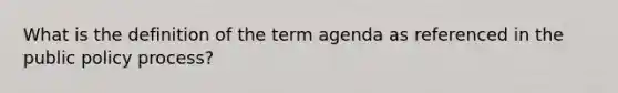 What is the definition of the term agenda as referenced in the public policy process?