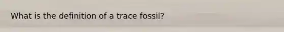 What is the definition of a trace fossil?