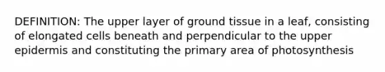 DEFINITION: The upper layer of ground tissue in a leaf, consisting of elongated cells beneath and perpendicular to the upper epidermis and constituting the primary area of photosynthesis