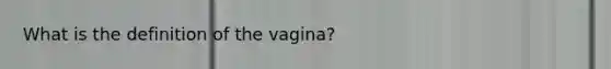 What is the definition of the vagina?