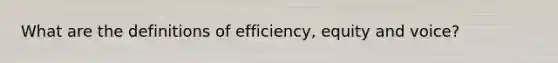 What are the definitions of efficiency, equity and voice?