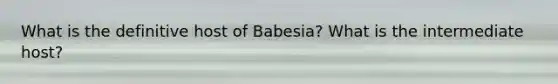 What is the definitive host of Babesia? What is the intermediate host?