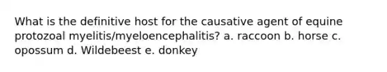 What is the definitive host for the causative agent of equine protozoal myelitis/myeloencephalitis? a. raccoon b. horse c. opossum d. Wildebeest e. donkey