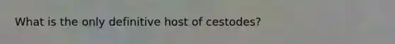 What is the only definitive host of cestodes?