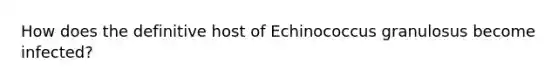 How does the definitive host of Echinococcus granulosus become infected?