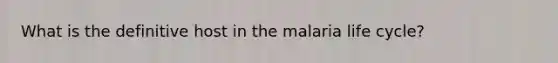 What is the definitive host in the malaria life cycle?