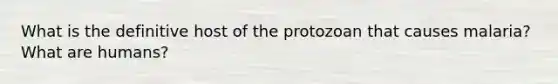 What is the definitive host of the protozoan that causes malaria? What are humans?