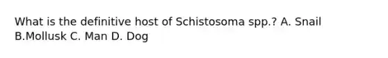 What is the definitive host of Schistosoma spp.? A. Snail B.Mollusk C. Man D. Dog