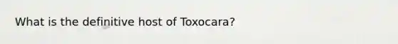 What is the definitive host of Toxocara?