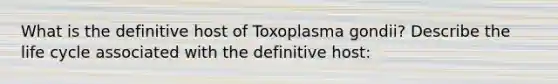 What is the definitive host of Toxoplasma gondii? Describe the life cycle associated with the definitive host: