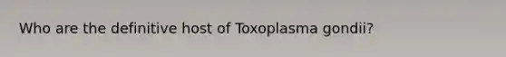 Who are the definitive host of Toxoplasma gondii?