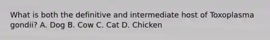 What is both the definitive and intermediate host of Toxoplasma gondii? A. Dog B. Cow C. Cat D. Chicken