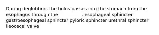 During deglutition, the bolus passes into the stomach from the esophagus through the __________. esophageal sphincter gastroesophageal sphincter pyloric sphincter urethral sphincter ileocecal valve