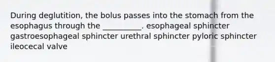 During deglutition, the bolus passes into the stomach from the esophagus through the __________. esophageal sphincter gastroesophageal sphincter urethral sphincter pyloric sphincter ileocecal valve