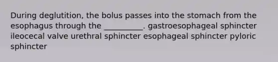 During deglutition, the bolus passes into <a href='https://www.questionai.com/knowledge/kLccSGjkt8-the-stomach' class='anchor-knowledge'>the stomach</a> from <a href='https://www.questionai.com/knowledge/kSjVhaa9qF-the-esophagus' class='anchor-knowledge'>the esophagus</a> through the __________. gastroesophageal sphincter ileocecal valve urethral sphincter esophageal sphincter pyloric sphincter