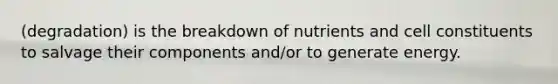 (degradation) is the breakdown of nutrients and cell constituents to salvage their components and/or to generate energy.