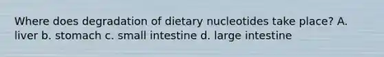 Where does degradation of dietary nucleotides take place? A. liver b. stomach c. small intestine d. large intestine