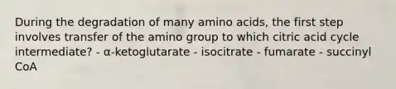 During the degradation of many amino acids, the first step involves transfer of the amino group to which citric acid cycle intermediate? - α-ketoglutarate - isocitrate - fumarate - succinyl CoA