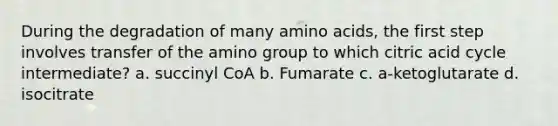 During the degradation of many amino acids, the first step involves transfer of the amino group to which citric acid cycle intermediate? a. succinyl CoA b. Fumarate c. a-ketoglutarate d. isocitrate