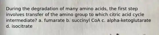 During the degradation of many <a href='https://www.questionai.com/knowledge/k9gb720LCl-amino-acids' class='anchor-knowledge'>amino acids</a>, the first step involves transfer of the amino group to which citric acid cycle intermediate? a. fumarate b. succinyl CoA c. alpha-ketoglutarate d. isocitrate