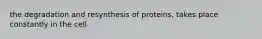 the degradation and resynthesis of proteins, takes place constantly in the cell