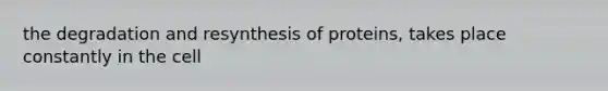 the degradation and resynthesis of proteins, takes place constantly in the cell