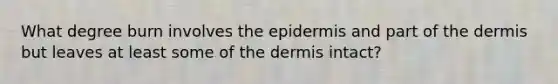 What degree burn involves the epidermis and part of the dermis but leaves at least some of the dermis intact?