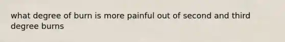 what degree of burn is more painful out of second and third degree burns