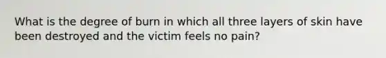 What is the degree of burn in which all three layers of skin have been destroyed and the victim feels no pain?