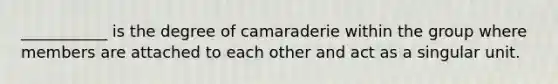 ___________ is the degree of camaraderie within the group where members are attached to each other and act as a singular unit.