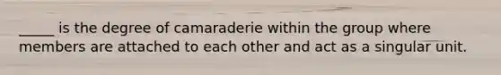 _____ is the degree of camaraderie within the group where members are attached to each other and act as a singular unit.