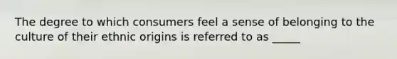 The degree to which consumers feel a sense of belonging to the culture of their ethnic origins is referred to as _____