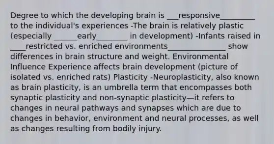 Degree to which the developing brain is ___responsive_________ to the individual's experiences -<a href='https://www.questionai.com/knowledge/kLMtJeqKp6-the-brain' class='anchor-knowledge'>the brain</a> is relatively plastic (especially ______early________ in development) -Infants raised in ____restricted vs. enriched environments_______________ show differences in brain structure and weight. Environmental Influence Experience affects brain development (picture of isolated vs. enriched rats) Plasticity -Neuroplasticity, also known as brain plasticity, is an umbrella term that encompasses both synaptic plasticity and non-synaptic plasticity—it refers to changes in neural pathways and synapses which are due to changes in behavior, environment and neural processes, as well as changes resulting from bodily injury.