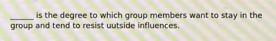 ______ is the degree to which group members want to stay in the group and tend to resist uutside influences.