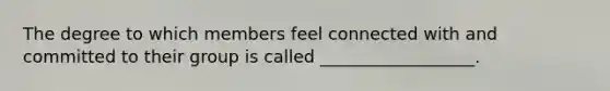 The degree to which members feel connected with and committed to their group is called __________________.