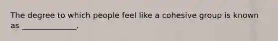 The degree to which people feel like a cohesive group is known as ______________.