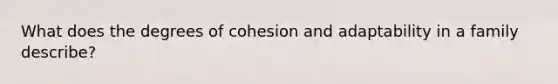 What does the degrees of cohesion and adaptability in a family describe?