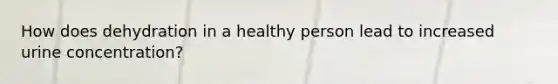 How does dehydration in a healthy person lead to increased urine concentration?