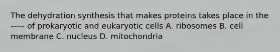 The dehydration synthesis that makes proteins takes place in the ----- of prokaryotic and eukaryotic cells A. ribosomes B. cell membrane C. nucleus D. mitochondria