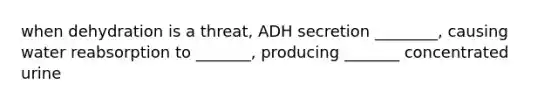 when dehydration is a threat, ADH secretion ________, causing water reabsorption to _______, producing _______ concentrated urine