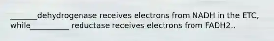 _______dehydrogenase receives electrons from NADH in the ETC, while__________ reductase receives electrons from FADH2..