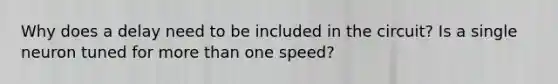 Why does a delay need to be included in the circuit? Is a single neuron tuned for more than one speed?